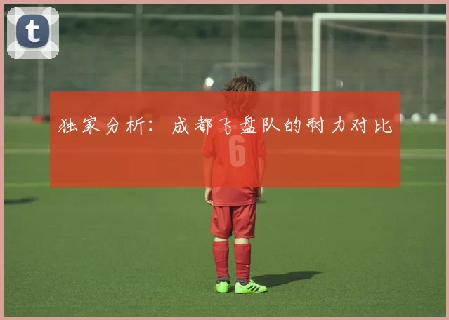 独家分析：成都飞盘队的耐力对比