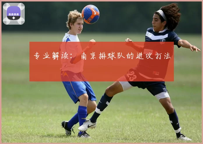 专业解读：南京排球队的进攻打法