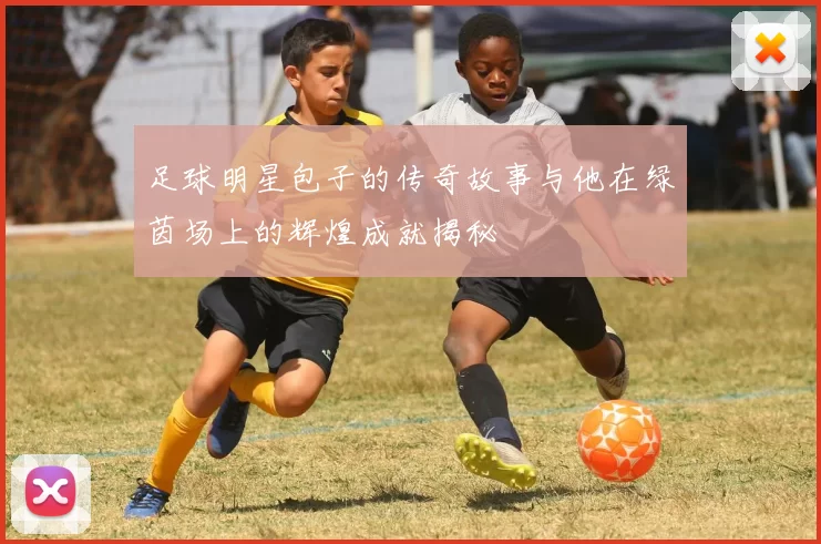 足球明星包子的传奇故事与他在绿茵场上的辉煌成就揭秘