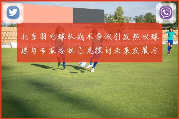 北京羽毛球队战术争议引发热议球迷与专家各执己见探讨未来发展方向