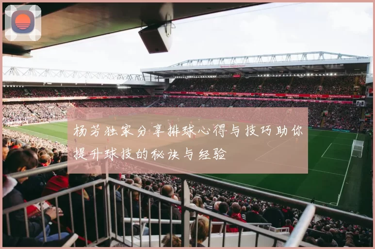 杨芳独家分享排球心得与技巧助你提升球技的秘诀与经验